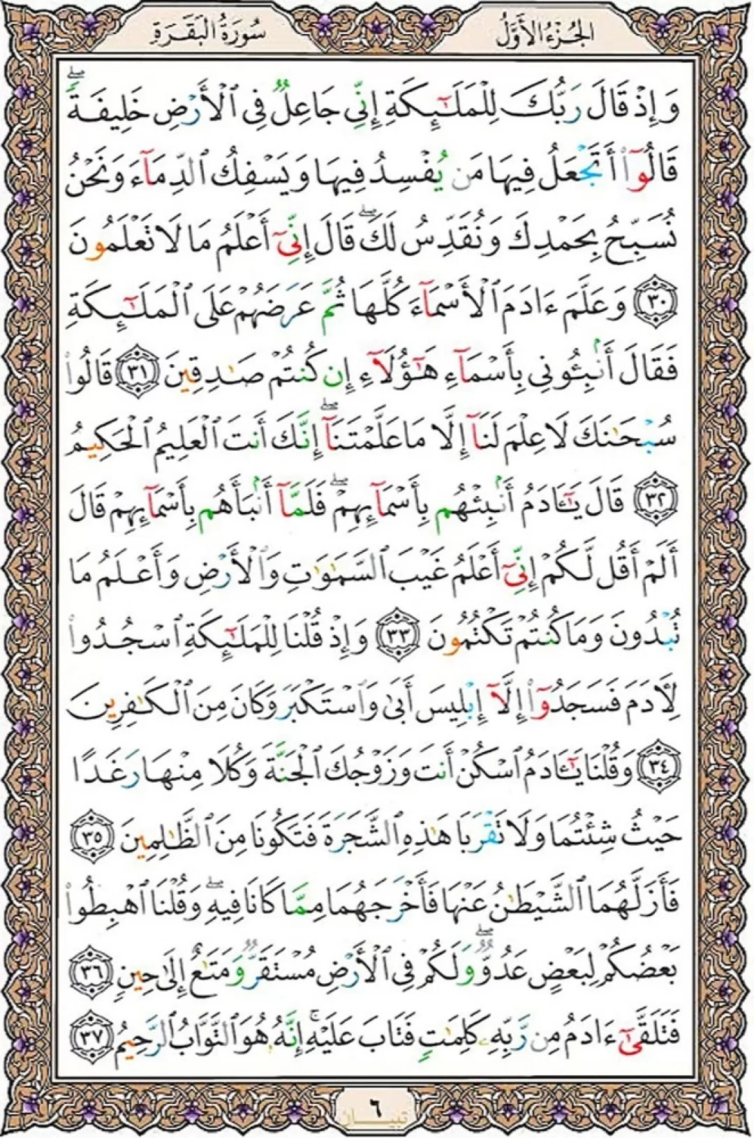 روزمان را با خواندن قرآن شروع می‌کنیم