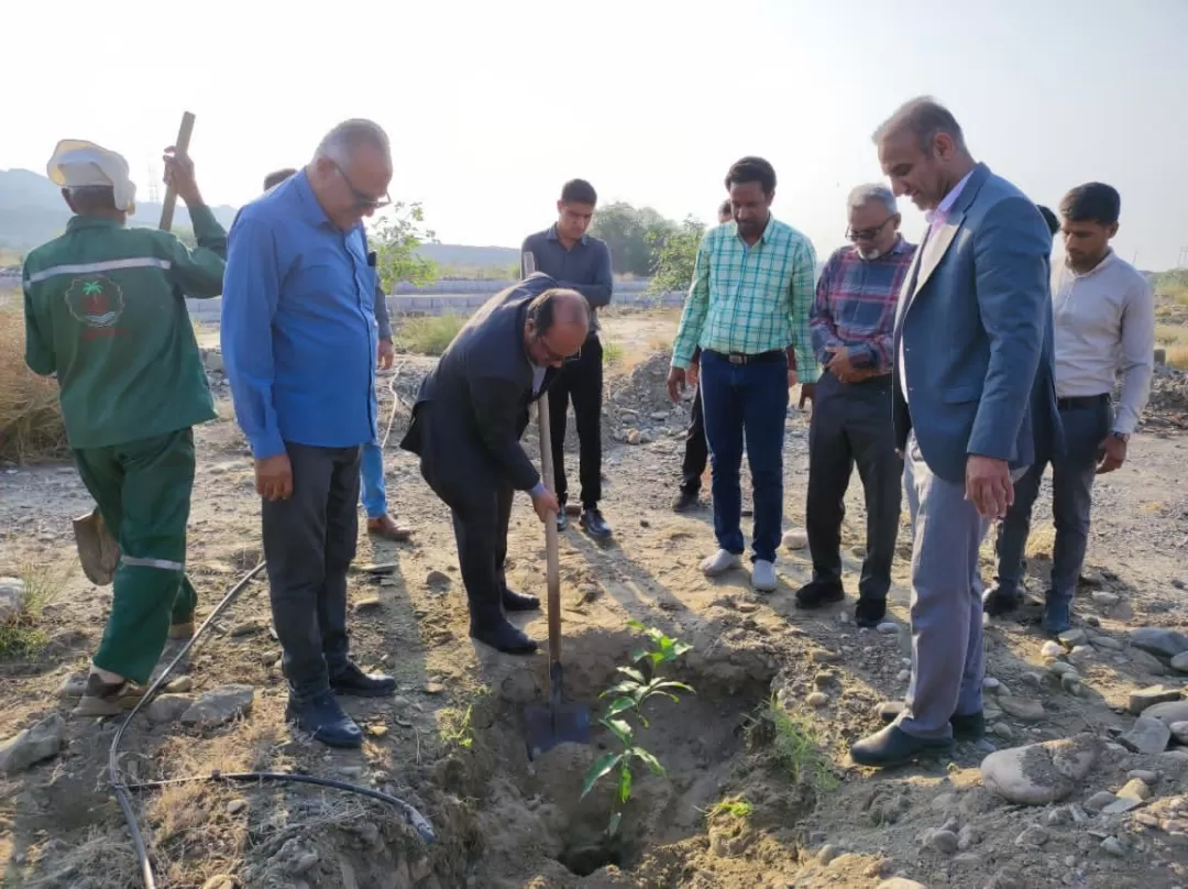 کاشت ۱۰۰ اصله نهال در کوهستان پارک تیرور