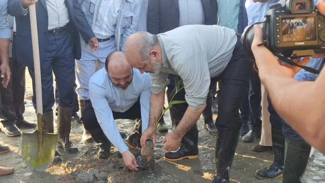 آئین کاشت ۲۰۰ هکتار جنگل در هرمزگان