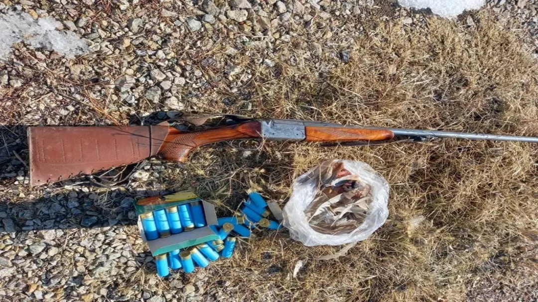 ۹۶ شکارچی متخلف در هرمزگان دستگیر شدند