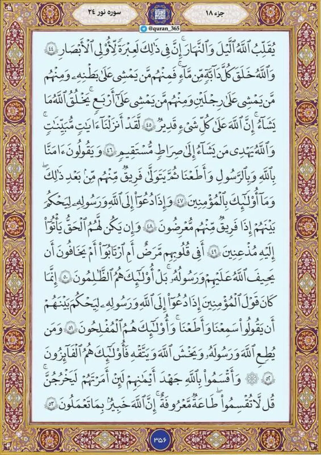 چهارشنبه را با قرائت صفحه ۳۵۶ قرآن آغاز میکنیم