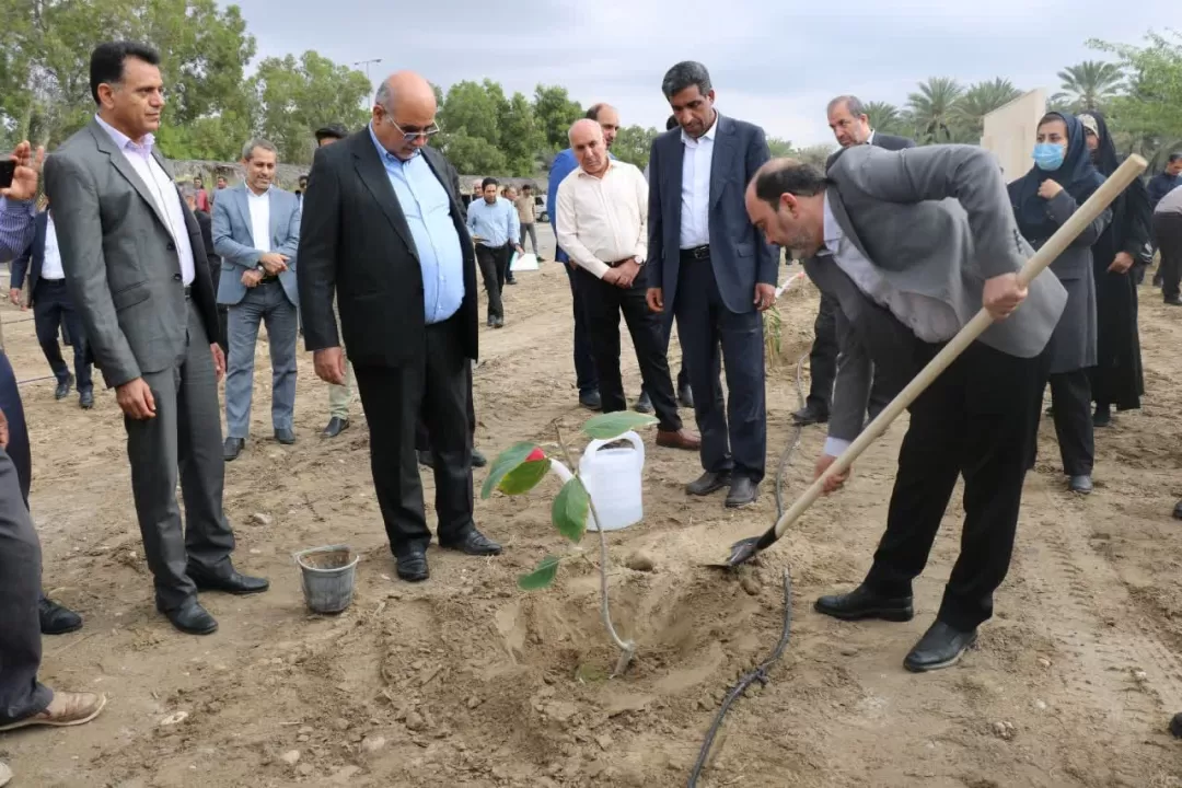 کاشت نهال هدیه زندگی به زمین است
