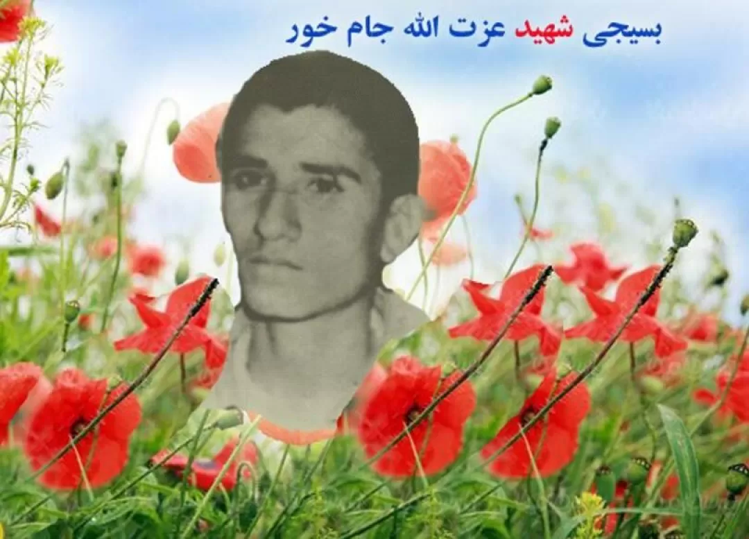 مرگی انتخاب کنید که سعادت باشد