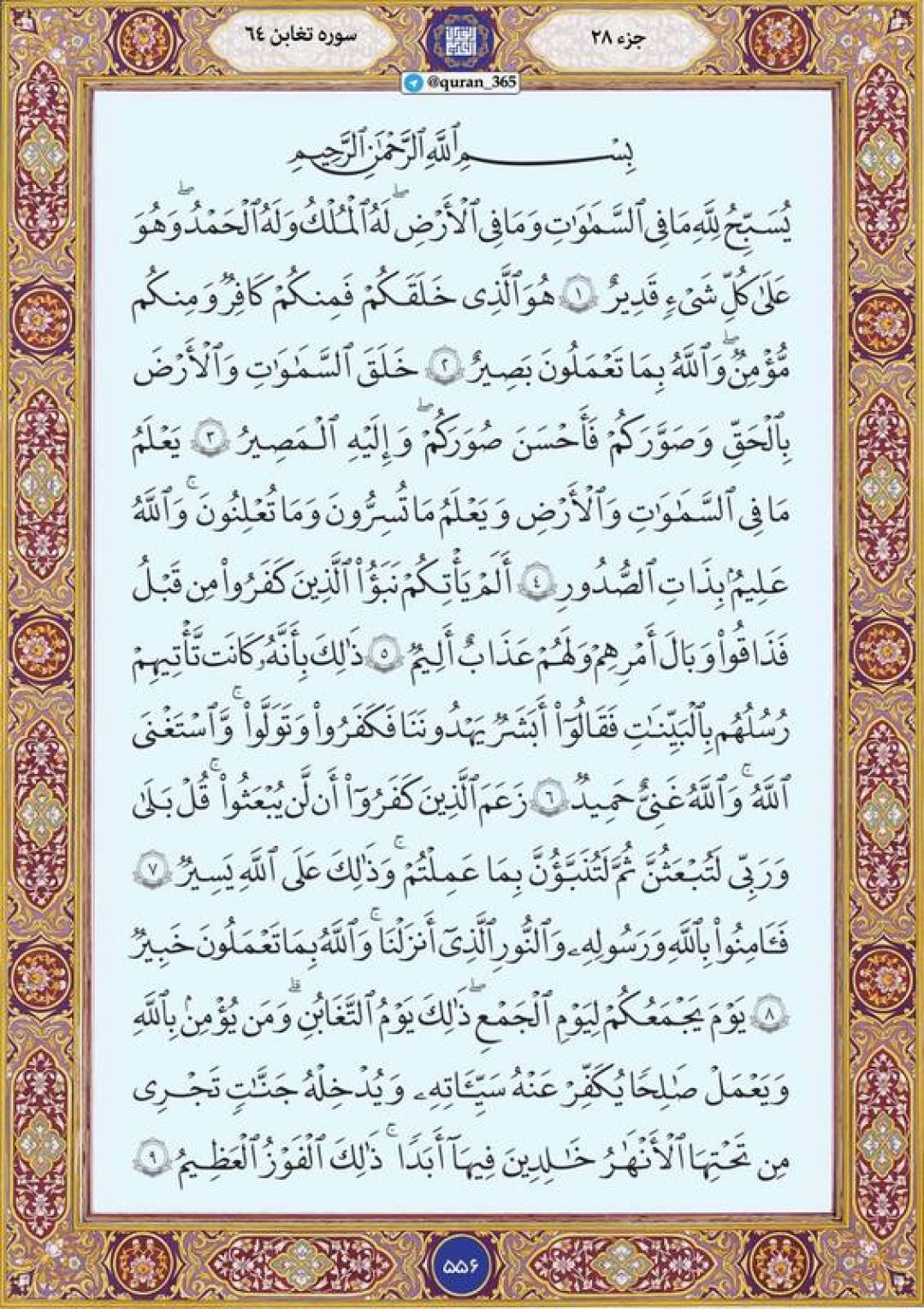 چهارشنبه را با صفحه ۵۵۶ قرآن آغاز میکنیم
