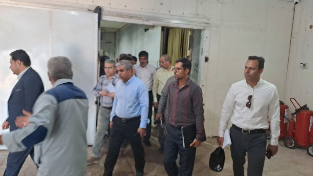 بازدید مسئولان شیلات از ظرفیتهای صیادی بوموسی