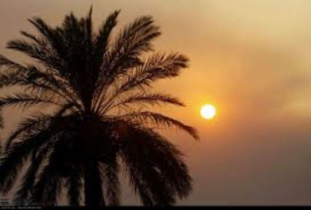 ماندگاری هوای گرم و خشک تا اواسط هفته